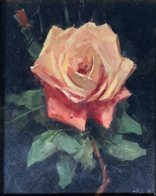 an oil painting of a pink rose on a black background