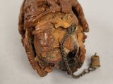 a close up of a piece of wood with a bug inside of it