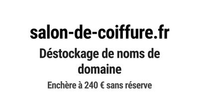Nom de domaine salon-de-coiffure.
