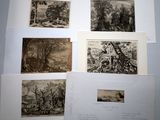 several old black and white pictures of a forest and a river