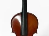 une image représentant un violon sur fond blanc, avec un fond blanc