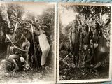 two old black and white photos of a group of men with spears