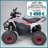 Quad enfant électrique DIAMON Typhon 1800 W