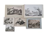 six gravures anciennes représentant des animaux, notamment des rhinocéros, des rhinocéros, des rhinocéros et des rhinocéros
