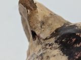 a close up of a cat statue on a white surface