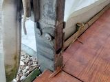 a cat that is sitting on the floor outside of a window