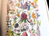 une photo d'un livre sur lequel est représenté un bouquet de fleurs