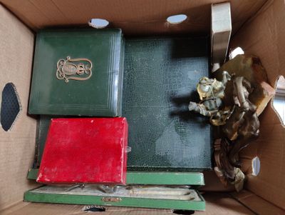 a box that has a bunch of books inside of it