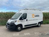 une camionnette blanche garée sur un parking à côté d'un champ de maïs