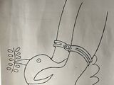 a drawing of a bird on a piece of paper