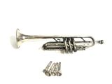 an image of a silver trumpet sitting next to a bunch of screws