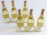 six bottles of white wine are lined up on a white surface