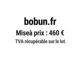 Photo 1/1 du lot