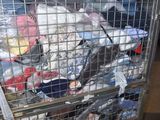 a metal cart filled with lots of trash in a warehouse