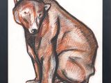 tableau représentant un ours brun assis par terre devant un fond blanc