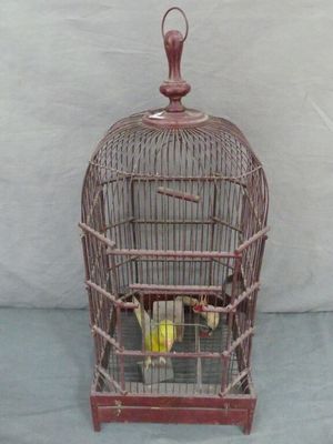 a bird in a cage that is sitting on the floor