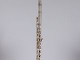 an old silver flute sitting on top of a clear box