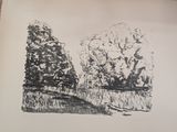 a black and white drawing of two trees in a field
