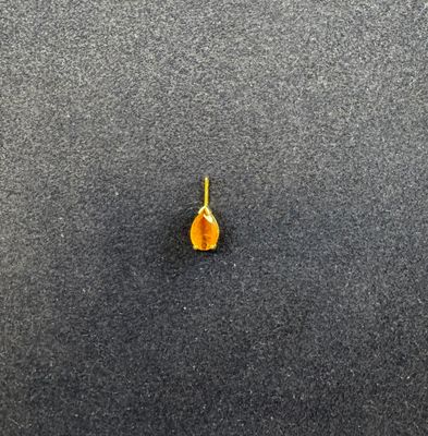 un gros plan d'une fleur jaune isolée sur une surface noire