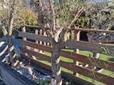 a wooden fence with a tree in the middle of it