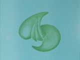 a drawing of a green leaf on a blue background