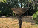a bird bath sitting on a pedestal in the middle of a yard