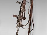 a close up of a bridle and reinset on a white background