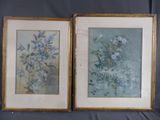 deux photos encadrées représentant des fleurs sur fond bleu, dont l'une est encore dans son cadre