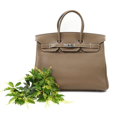 a brown leather handbag next to a green plant on a white background