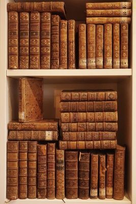de nombreux livres anciens sur les étagères de la pièce