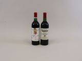 deux bouteilles de vin posées l'une à côté de l'autre sur une surface blanche