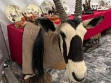 une peluche posée sur une table