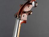 a close up of a violin with a wooden back and neck