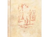 un vieux livre sur lequel figure le dessin d'un homme et d'une femme