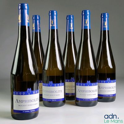 six bouteilles de vin sont alignées sur une table