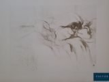 a drawing of a bird sitting on a tree branch