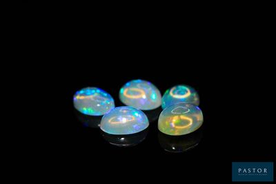 four oplites in a row on a black surface