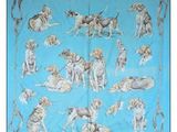 une photo d'une écharpe bleue avec des chiens dessus
