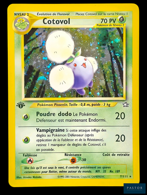 une image représentant une carte Pokémon sur laquelle figure un œuf