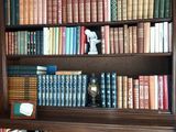 une étagère contenant beaucoup de livres