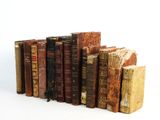 plusieurs vieux livres sont alignés sur une surface blanche