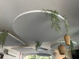 Il y a de nombreuses plantes suspendues au plafond dans cette cuisine