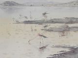 a picture of a painting of birds on the beach