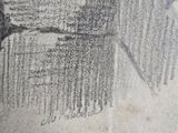 pencil drawing of a bird perched on a branch of a tree