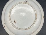 a white plate with a bug on it on a table