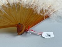 Plumes, Europe, vers 1890-1900 (photo 4)