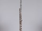 a silver flute on a clear stand against a gray background