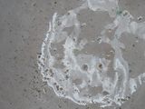 a white substance on the ground that looks like a face