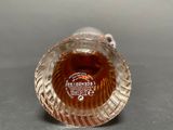 an image of a glass vase with a shell inside of it