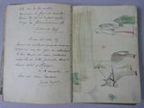 un vieux livre sur lequel figure le dessin d'une personne